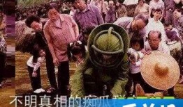 朝阳吃瓜群众什么意思,网络热词背后的社会现象